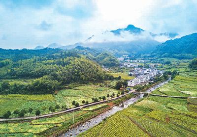 林票就是“搖錢樹(shù)”