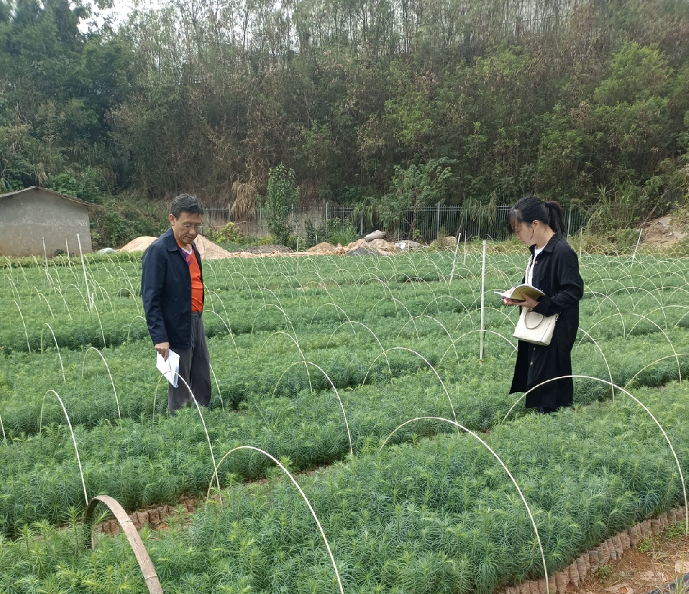 種苗中心順利通過中央、省級財政林木良 種補貼項目驗收