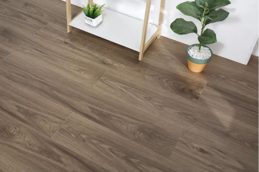 1669275204143855.png 1669275204143855.png