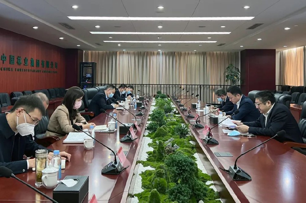 中林集團召開木本油料工作組啟動會