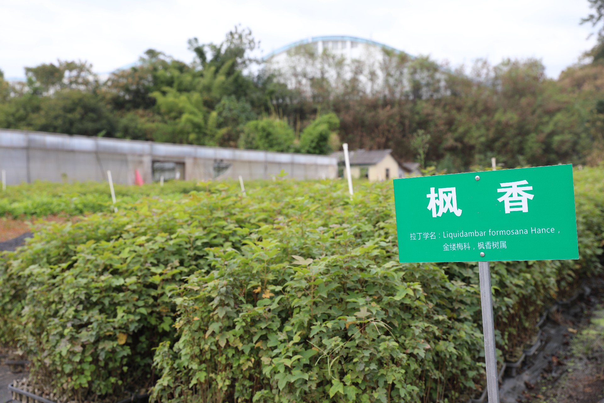 1669273235197059.png 微信圖片_20221212152413.jpg