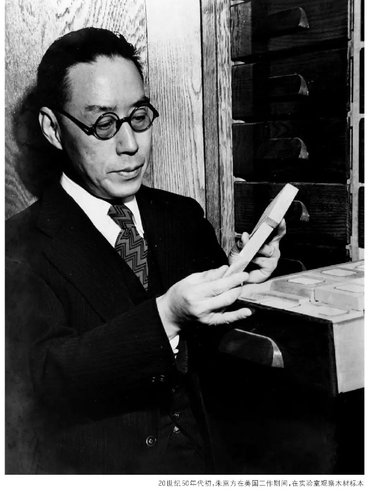 一代木材科學(xué)大家朱惠方