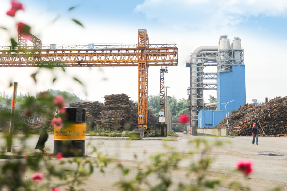 來(lái)自央企的春日明信片，請(qǐng)查收