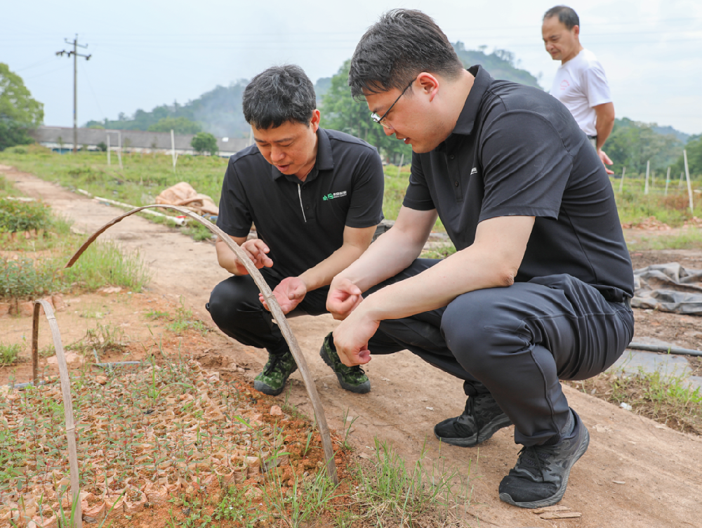 趙家悅調(diào)研各事業(yè)部工作并召開(kāi)第一季度經(jīng)營(yíng)形勢(shì)分析會(huì)