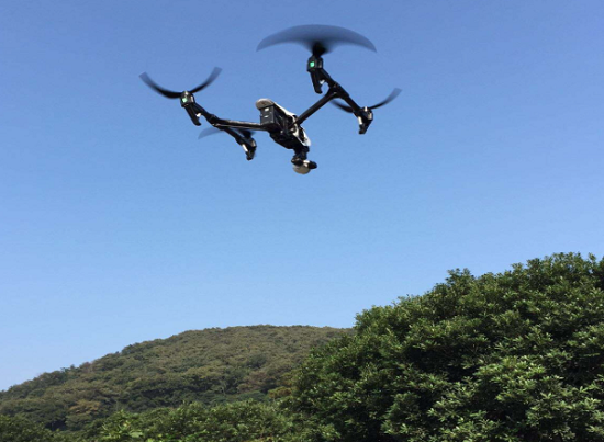 好家伙，林還能這么“管”：中林集團(tuán)科技賦能智慧林業(yè)監(jiān)管