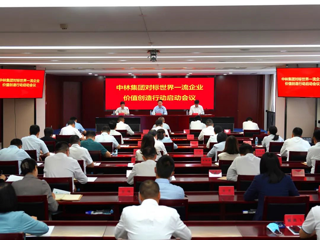 中林集團召開對標世界一流企業(yè)價值創(chuàng)造行動啟動會議