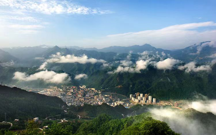 中林集團(tuán)：把主題教育成果轉(zhuǎn)化為助推美麗中國(guó)建設(shè)的生動(dòng)實(shí)踐