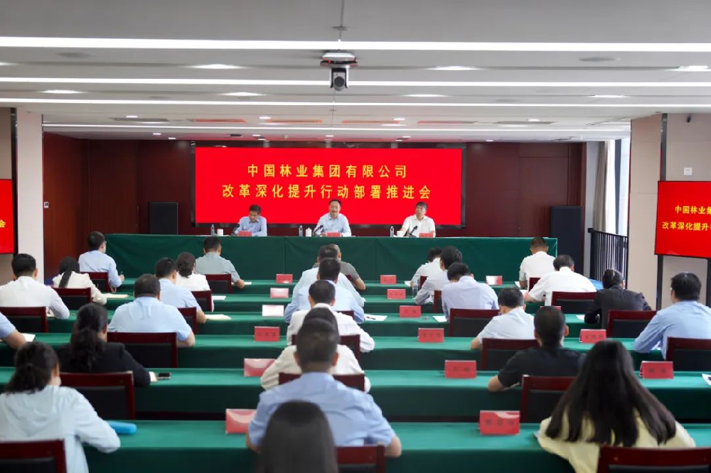 中林集團(tuán)召開(kāi)改革深化提升行動(dòng)部署推進(jìn)會(huì)議