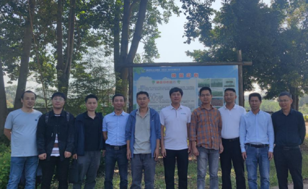 福建省“閩楠良種選育與繁殖關(guān)鍵技術(shù)研究”攻關(guān)項目推進會在永安林業(yè)種苗中心召開