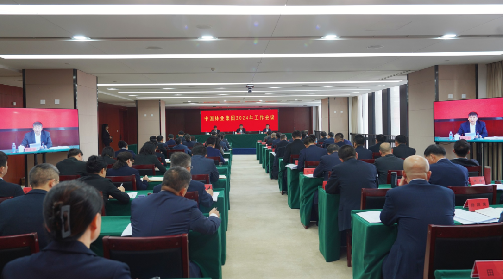 中林集團(tuán)吹響以高質(zhì)量黨建引領(lǐng)保障高質(zhì)量發(fā)展“集結(jié)號(hào)”