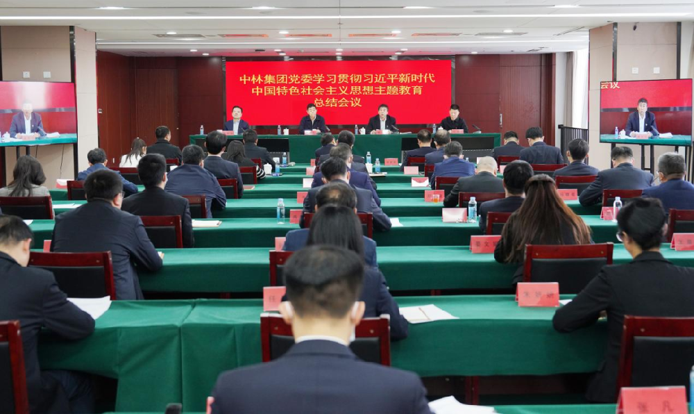 中林集團(tuán)黨委召開學(xué)習(xí)貫徹習(xí)近平新時(shí)代中國特色社會(huì)主義思想主題教育總結(jié)會(huì)議