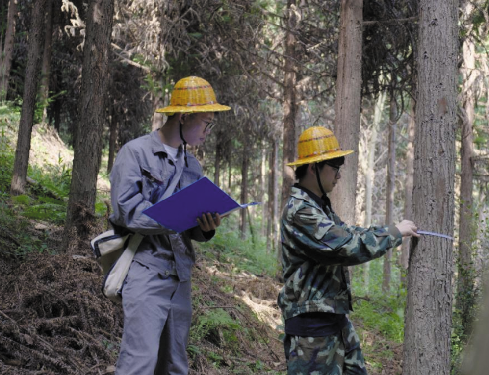 “五一”國際勞動(dòng)節(jié) | 向他們致敬！