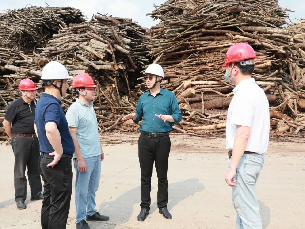 呂錦程到永安林業(yè)人造板廠、永林藍(lán)豹家居開(kāi)展節(jié)前安全生產(chǎn)檢查