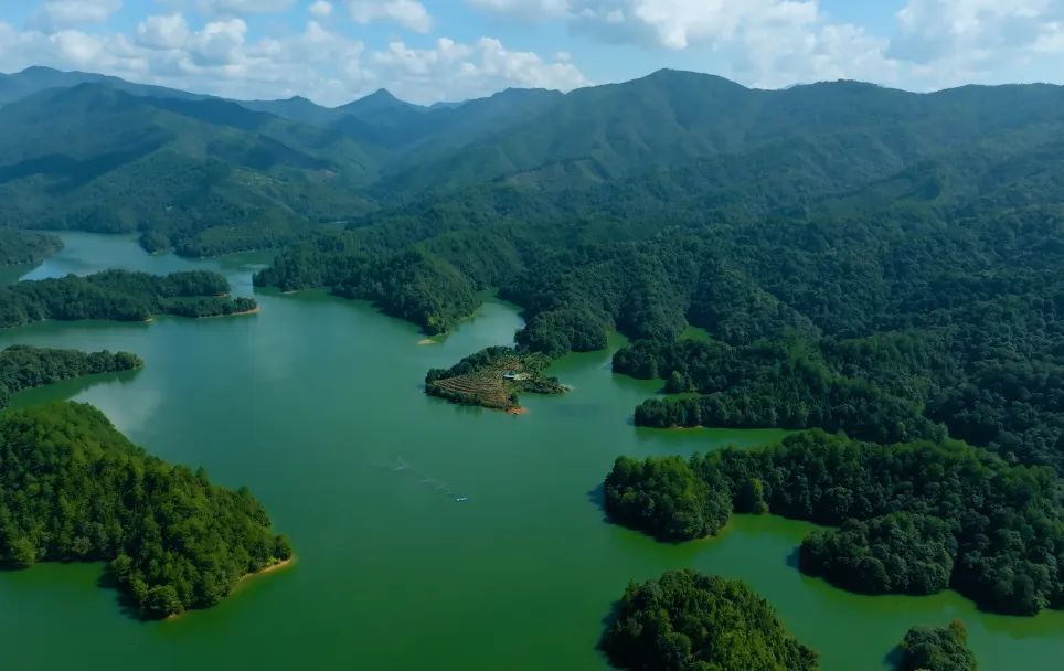 只此青綠，共繪生態(tài)美|永安林業(yè)發(fā)布首份ESG報(bào)告！