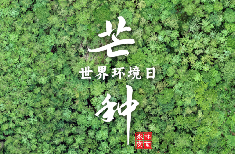 今日·芒種×世界環(huán)境日