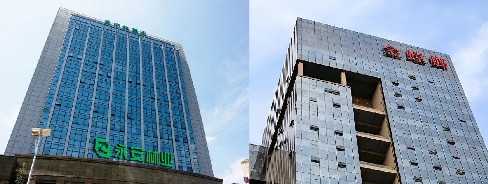 永林藍豹 | 強勢入駐上市公司-金螳螂建筑裝飾，攜手共創(chuàng)新輝煌！