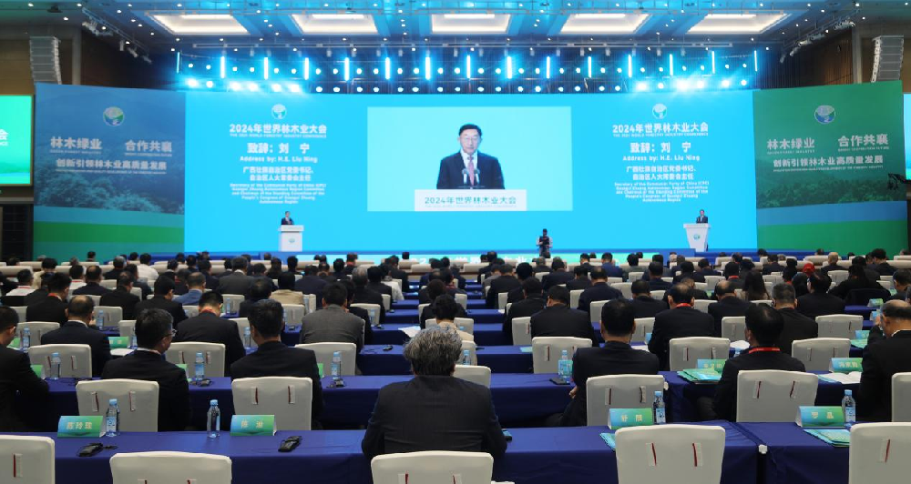 中林集團(tuán)攜多個(gè)林木產(chǎn)品亮相2024年世界林木業(yè)大會(huì)
