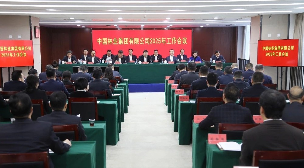 2025年：干字當頭 篤定前行——以自我革命精神推動中林集團實現(xiàn)徹底重塑