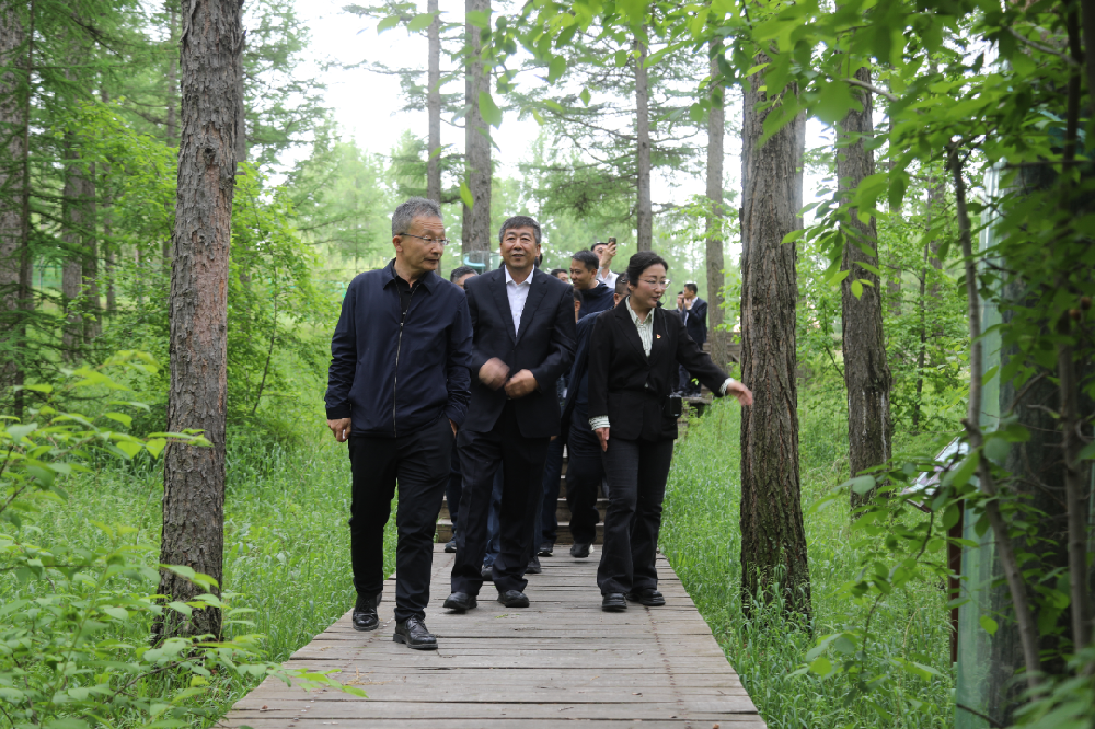 中國林業(yè)集團(tuán)赴塞罕壩林場學(xué)習(xí)調(diào)研