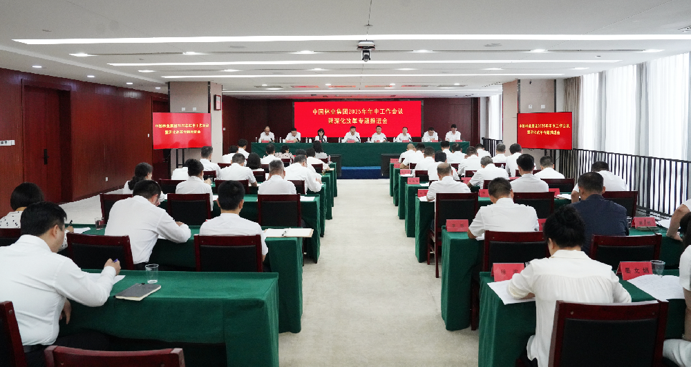 中國林業(yè)集團(tuán)召開2025年年中工作會(huì)議暨深化改革專題推進(jìn)會(huì)