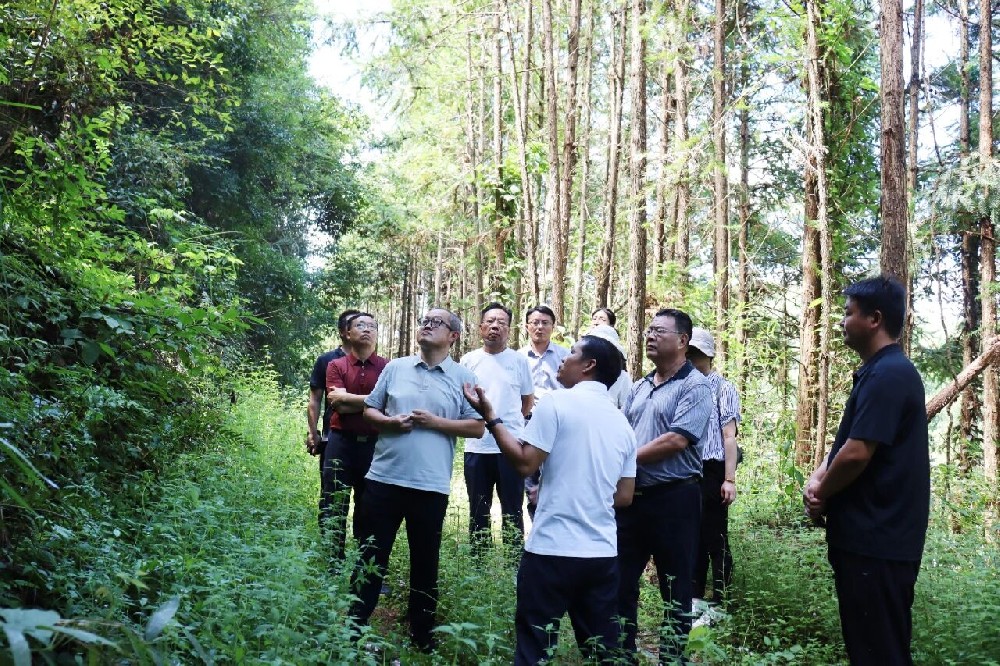 中國(guó)林業(yè)集團(tuán)外部董事赴廣東、福建開展林業(yè)產(chǎn)業(yè)高質(zhì)量發(fā)展專題調(diào)研