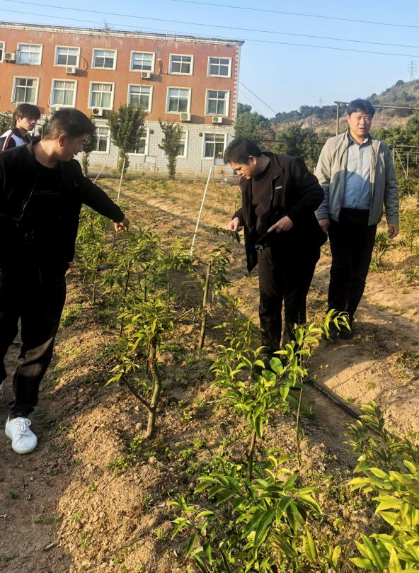 【子企業(yè)動態(tài)】省林科院李寶福教授蒞臨種苗中心指導(dǎo)